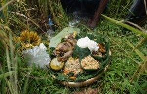 Upacara tradisi wiwitan