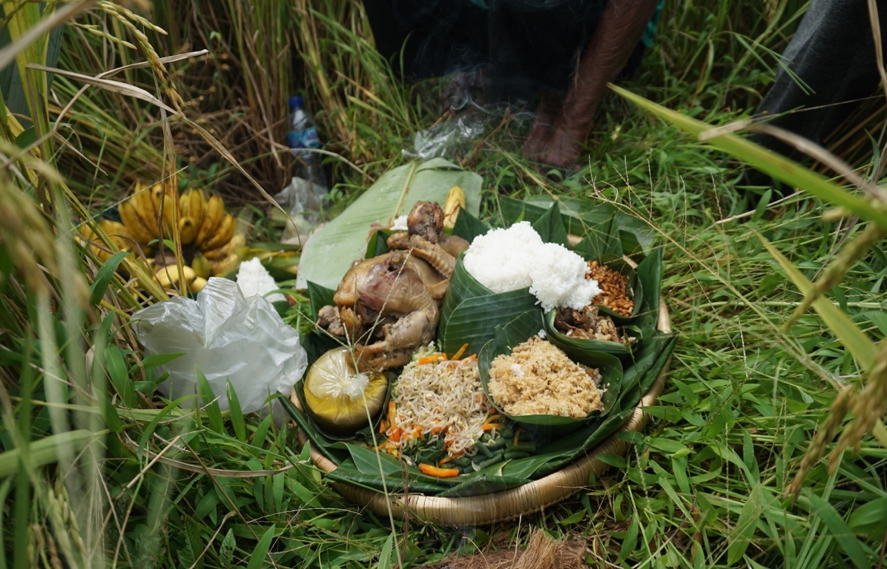 Upacara tradisi wiwitan